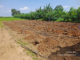 Middeniya Nursery